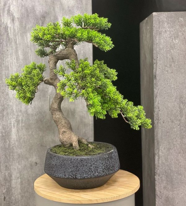Bonsai artificial Cedar Han-Kengai in ghiveci - 52 cm