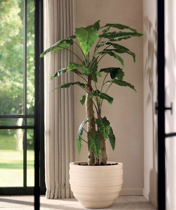 Copac artificial Alocasia cu 22 frunze - 180 cm