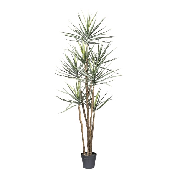 Copac artificial x7 Yucca Gloriosa - 210 cm