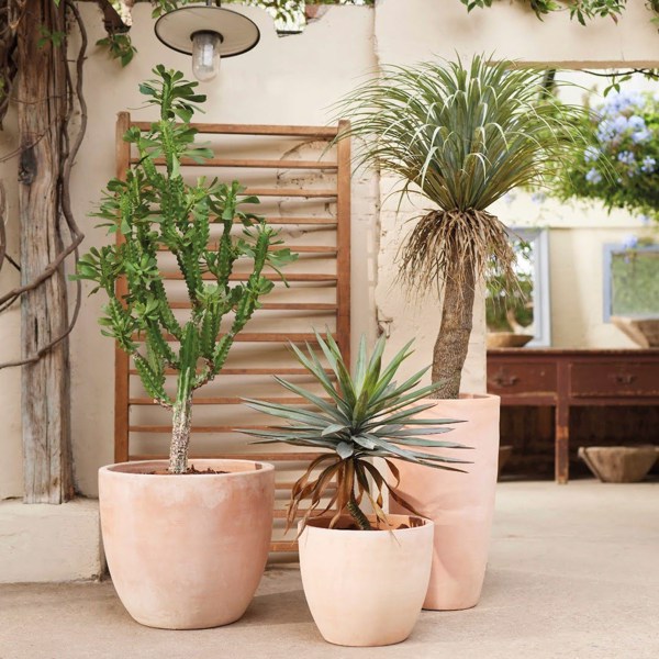 Copac artificial Yucca Wild - 150 cm