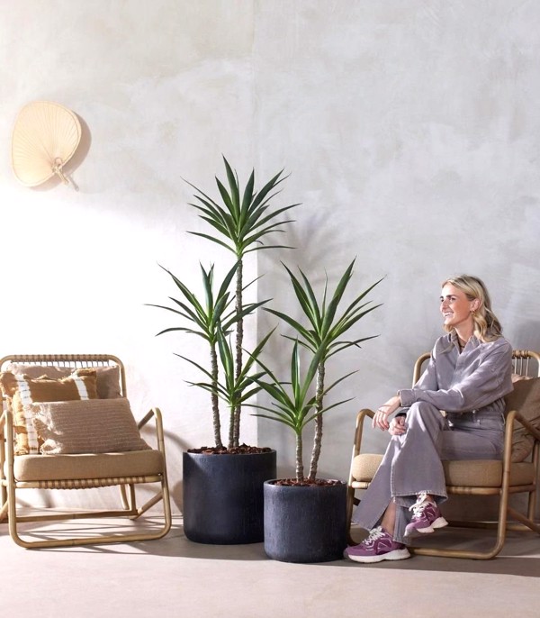 Copac artificial Yucca Wild x2 - 110 cm
