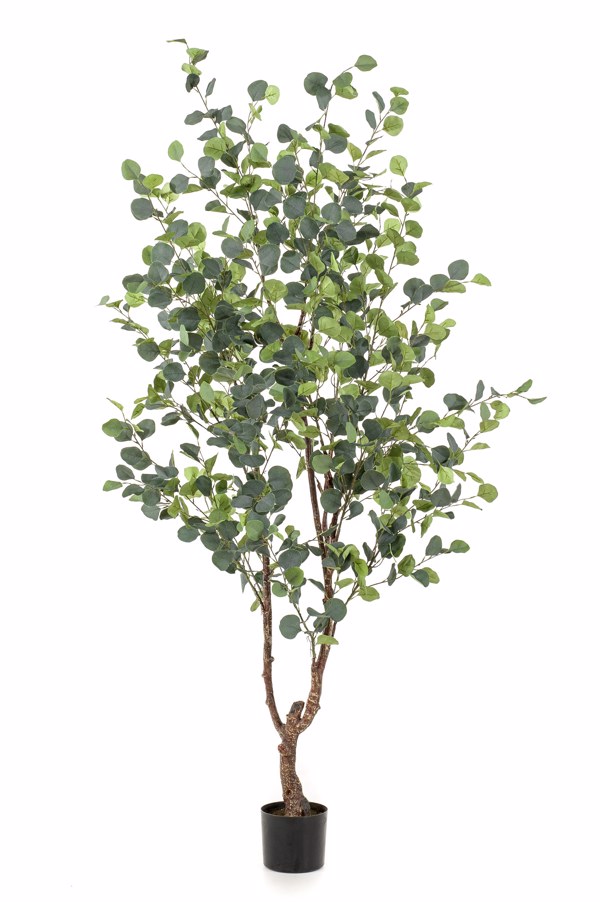 Eucalipt artificial decorativ in ghiveci - 180 cm