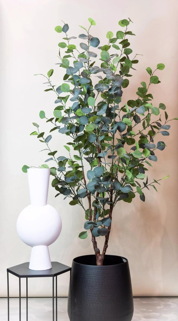 Eucalipt artificial decorativ in ghiveci - 180 cm