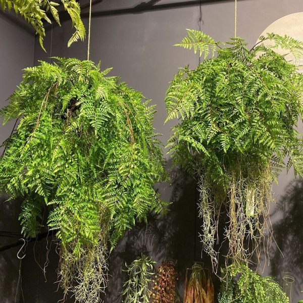 Feriga artificiala decorativa cu sfoara pentru agatat - 80 cm