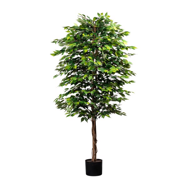 Ficus artificial Benjamina cu trunchi natural - 210 cm