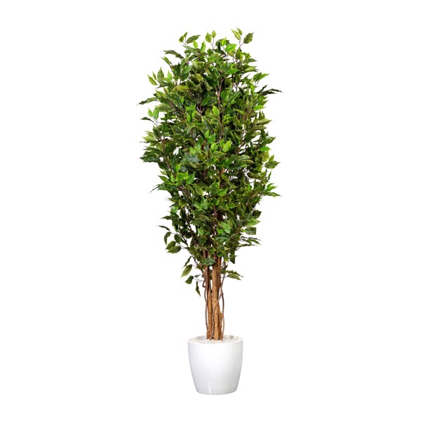 Ficus artificial Benjamina verde cu trunchi natural UV - 150 cm