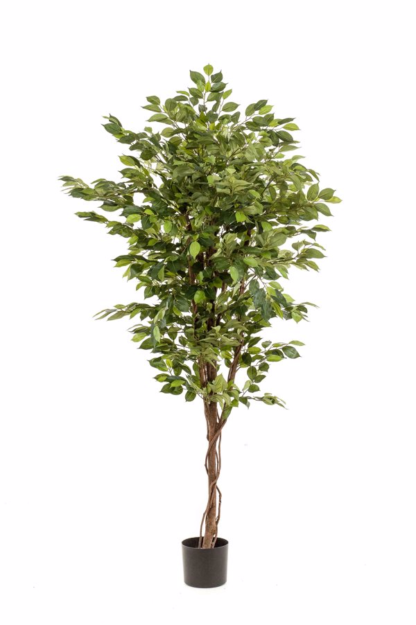 Ficus artificial Deluxe in ghiveci negru din plastic - 170 cm