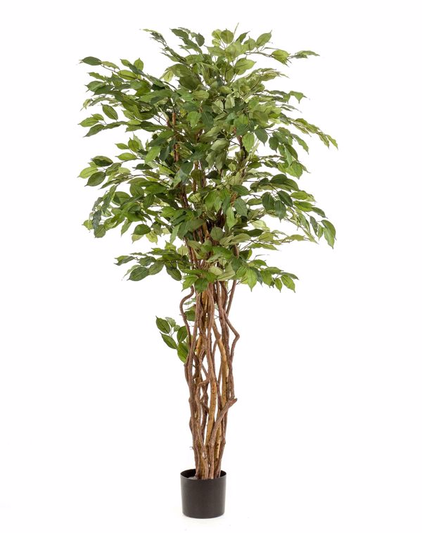 Ficus artificial Liana in ghiveci negru din plastic - 170 cm