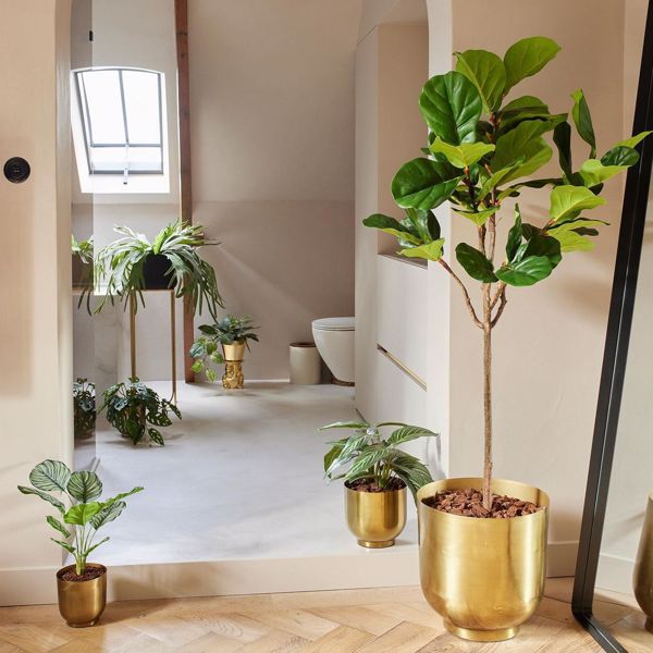 Ficus artificial Lyrata in ghiveci negru din plastic - 155 cm