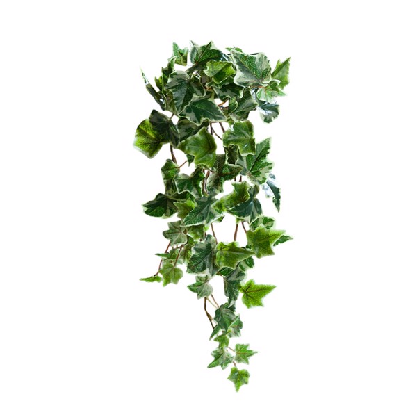 Ghirlanda iedera artificiala verde-crem - 45 cm