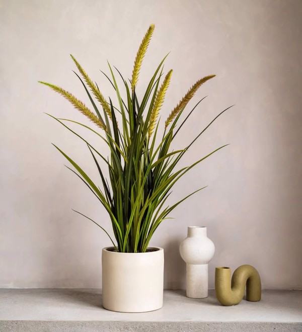 Iarba artificiala decorativa x5 Foxtail - 115 cm