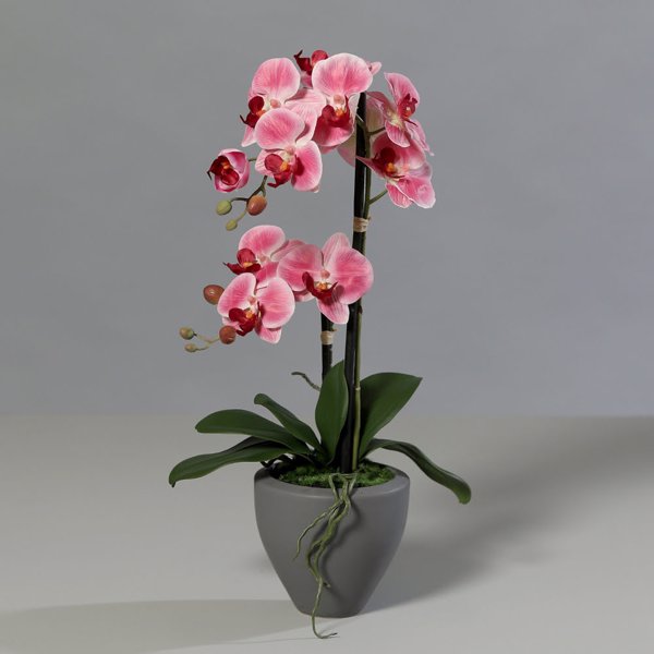 Orhidee artificiala roz-crem in ghiveci ceramic - 57 cm