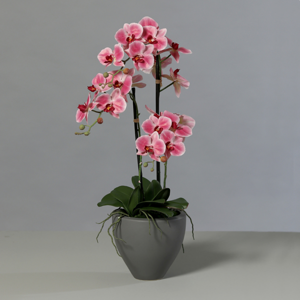 Orhidee artificiala roz-crem in ghiveci ceramic - 70 cm