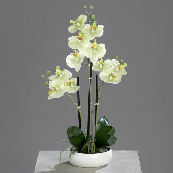 Orhidee artificiala verde-crem in ghiveci ceramic - 36 cm
