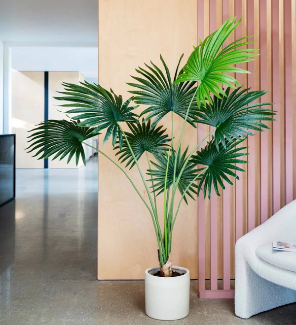 Palmier artificial Livistona in ghiveci - 160 cm