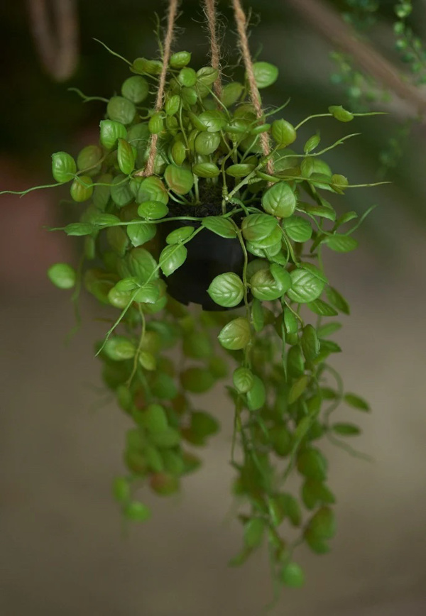 Planta artificiala curgatoare Ceropegia in ghiveci - 50 cm