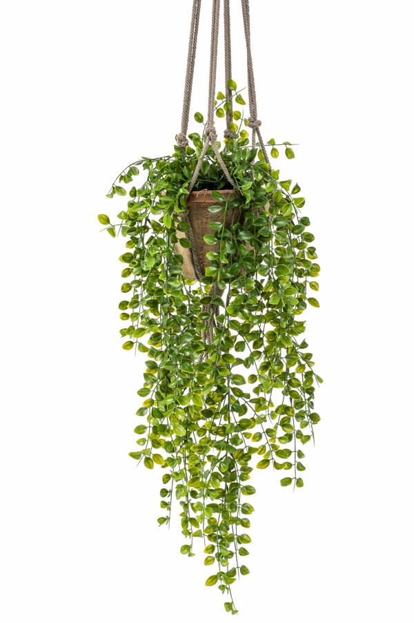 Planta artificiala curgatoare Ficus in ghiveci - 80 cm