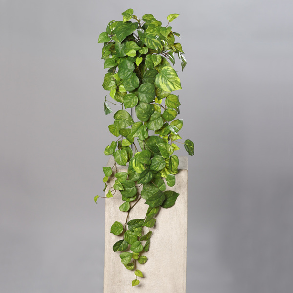 Planta artificiala curgatoare Pothos verde - 80 cm