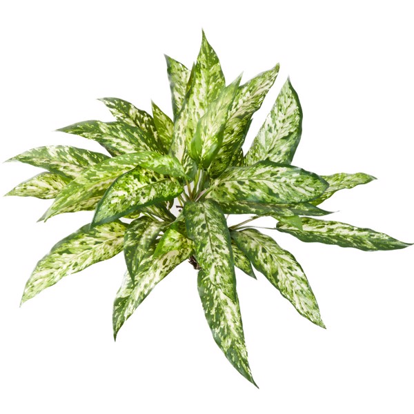 Planta artificiala decorativa Agaonema verde-crem - 48 cm