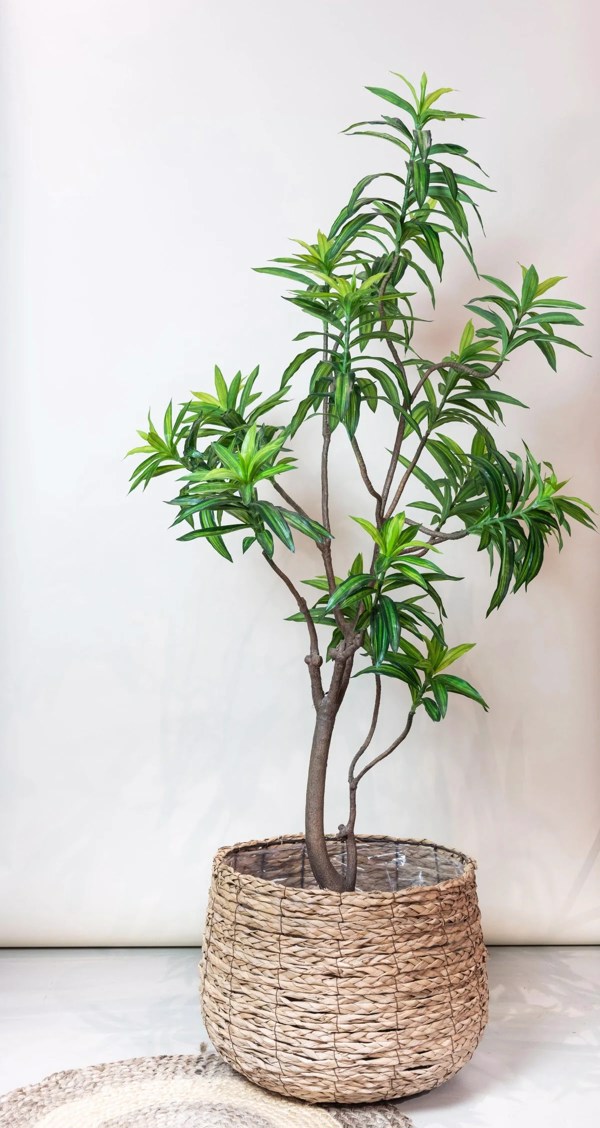 Planta artificiala Dracaena in ghiveci - 190 cm