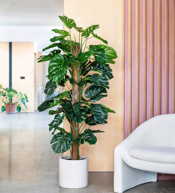 Planta artificiala Monstera in ghiveci - 150 cm