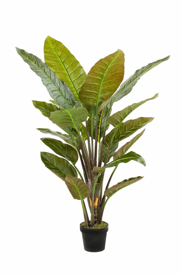 Planta artificiala Strelitzia in ghiveci - 135 cm