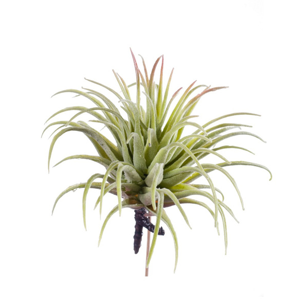Planta artificiala Tillandsia verde pudrat - 12 cm