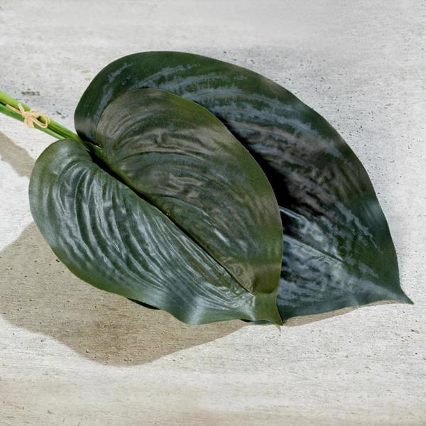 Set x2 frunze artificiale Hosta/ crinul de toamna verde - 36 cm
