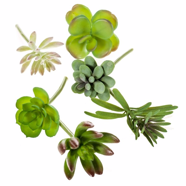Set x6 plante suculente artificiale decorative