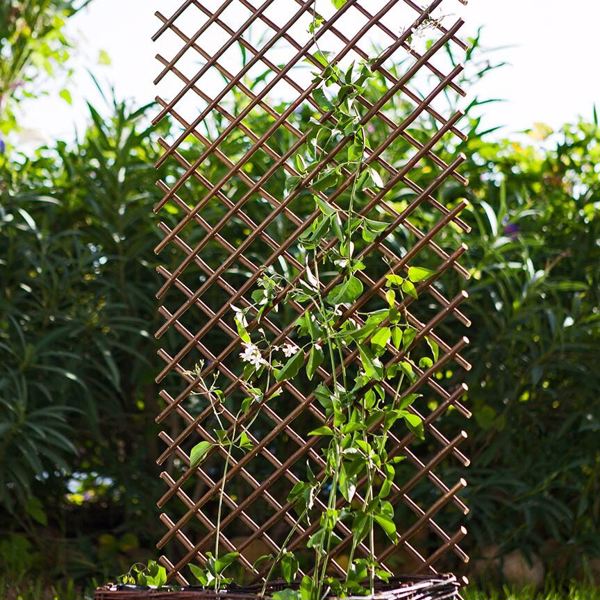 Spalier extensibil din lemn - 0.5x1.5m