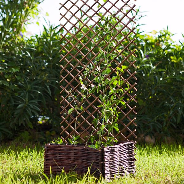 Spalier extensibil din lemn - 1x2m